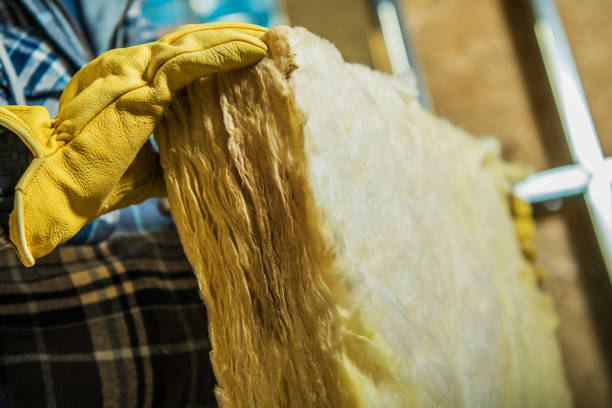 Best Insulation Maintenance and Repair in Ambridge, PA